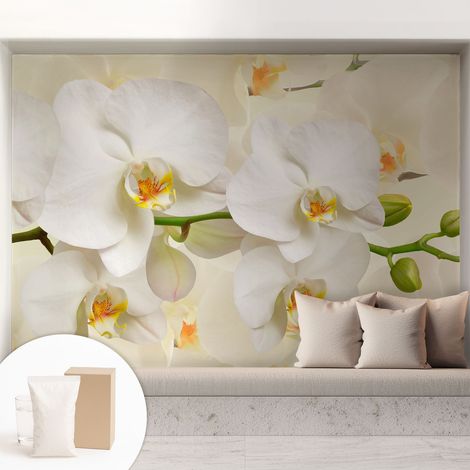 Papier peint intissé mural avec imprimé pour décoration pour salon pour chambre à coucher pour entrée Richesse florale 208x146 cm (1/5)