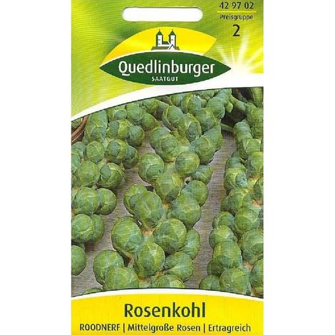 Quedlinburger Rosenkohl Roodnerf - Gemüsesamen (1/2)