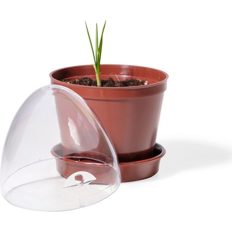 Lot de 6 Pots de Culture en Forme de Coccinelle Marron, sans boîte de Rangement, 6 ER Set (1/3)