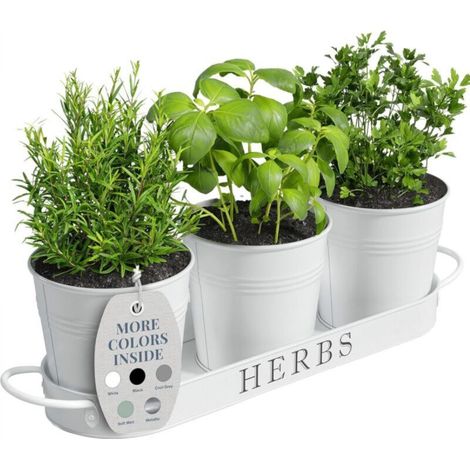 Set of 3 Indoor Planters with Tray, Metal Window Sill Flower Pots with Drainage for Indoor or Outdoor Plants (White) (1/5)