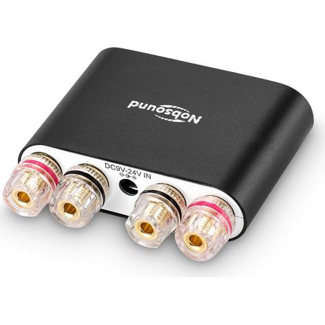 Mini-amplificateur numérique Hi-Fi DSP - 100 W - Avec système bluetooth 5.0 - Audio stéréo à 2 canaux - Pour une utilisation à domicile (1/5)