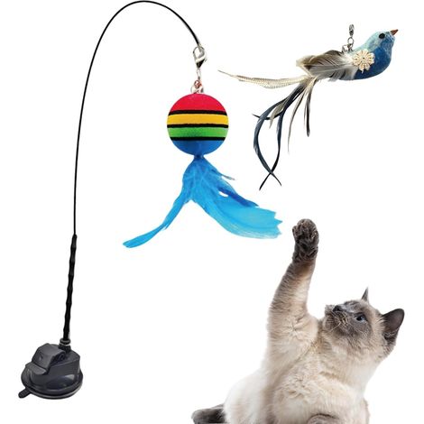 Jouets d'exercice pour Chat, à Chat Interactive Teaser, (1/5)