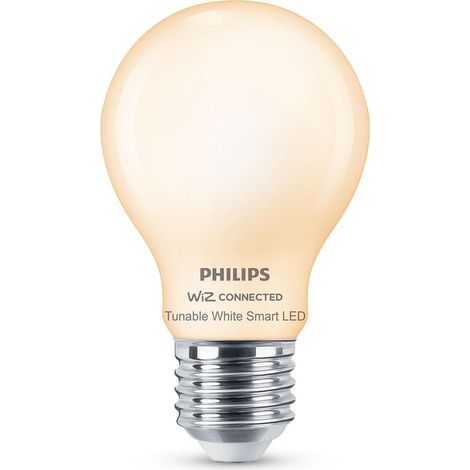 LAMPADINA IN VETRO SMERIGLIATO (1/3)