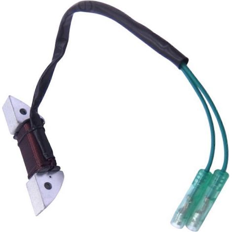 Bobine de charge d'alternateur pour moteur de bateau 8 CV 9,8 CV (1/5)