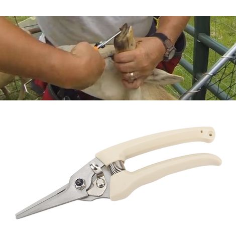 Cisailles à sabots pour moutons, pareurs de sabots pour animaux, outils de parage des sabots, cisailles à ongles pour moutons, grands pareurs de sabots pour moutons, outils de parage des sabots (1/5)