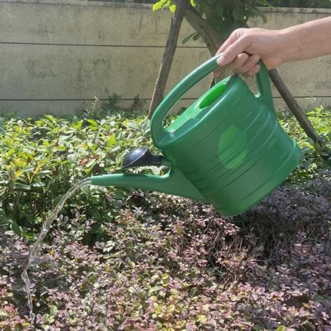 Arrosoir - Jardin - 5L - Vert - Matériau épais - Longue bouche amovible (1/4)