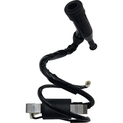 Transformateurs haute tension GX110/GX120/GX140/GX160 5,5 CV/GX200 6,5 CV (1/4)