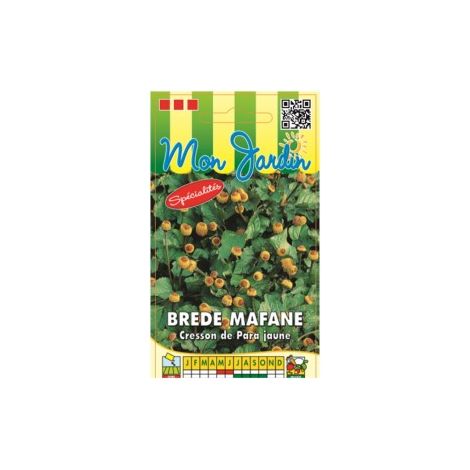 Brède mafane cresson de para jaune – Graines non hybrides 0,2g – Exposition ensoleillée – Semis mi-mai – Récolte de juillet à octobre – Graines Bocquet