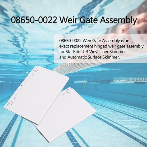 Pentair Sta-Rite U-3 kompatible Skimmertürbaugruppe 08650-0022 (1/5)