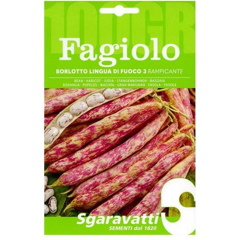 SEMI PER FAGIOLI fagiolo borlotto rampicante lingua di fuoco 3 - gr 250