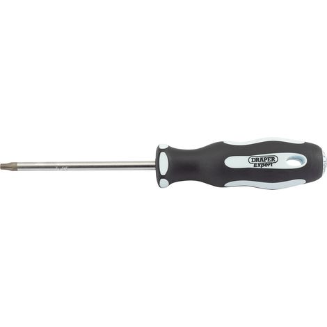 Draper Soft Grip T25 x 100mm TX-STAR Screwdriver (Model 35080) (1/5)