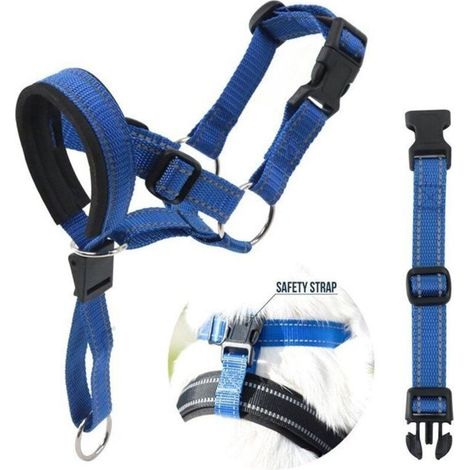 Licol pour chien avec tissu rembourré, collier pour chien, XL