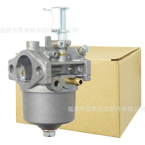 Schneepflüge, Rasenmäher, Vergaser für 1P56F, P15Q-2, P15Q-3, P15Q-4 Vertikalwellenmotoren (1/5)