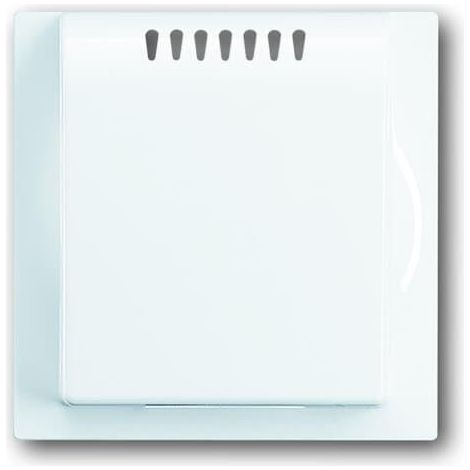 Enjoliveur Pour Therm. D’Ambiance Accès Protégé Blanc Alpin 2CKA006599A2076 ABB 585347