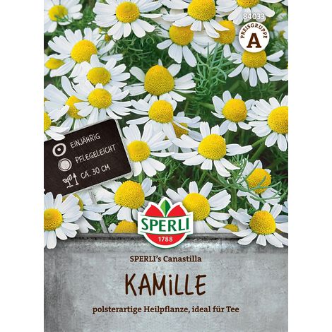 Sperli – Camomille Canastilla – Graines de fleurs et d'herbes aromatiques, hauteur jusqu'à 30 cm, pour env. 200 plantes (1/2)