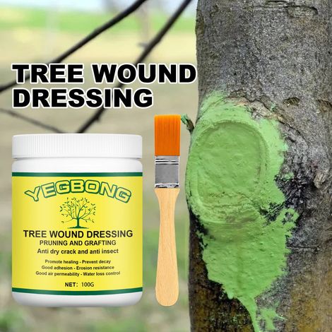 Pâte De Protection Pour Plaies D'Arbres - Pour Taille De Bonsaï Et Greffage - 100 G (1/5)