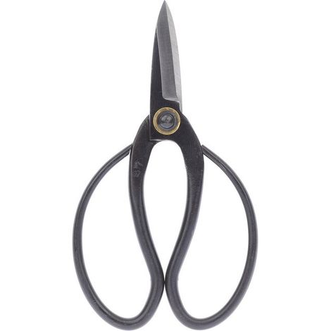 Bonsaïs ciseaux de bonsaï acier - outils traditionnels pour la culture de bonsaï professionnelles - très adapté aux bourgeons, aux feuilles et aux branches (1/4)