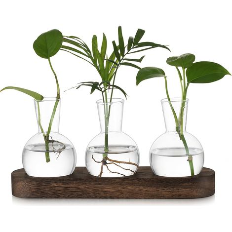 Petit Vase Fleur Vase Transparent: Terrarium Plante Hydroponie Vase en Verre avec Marron Plateau en Bois - 3pces Soliflore en Verre Terrarium Vegetal pour Centre de Table Decoration Interieur (1/5)