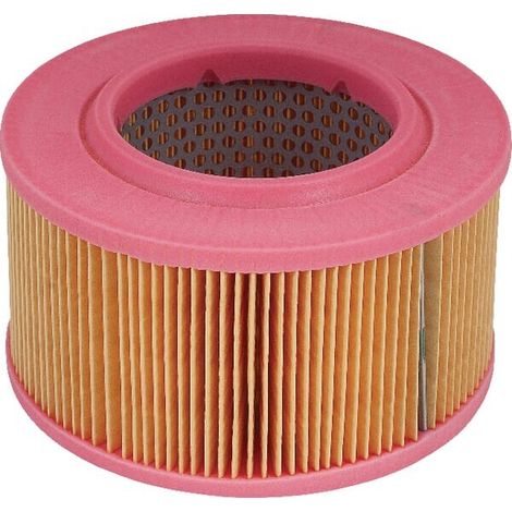 Filtro aria MANN-FILTER C15403