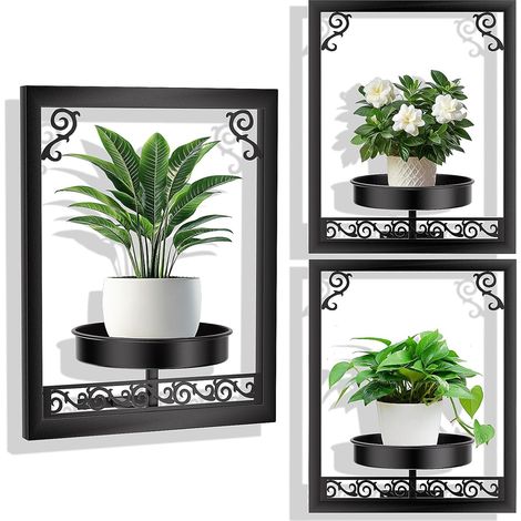 Lot de 3 supports pour plantes - Étagère murale pour plantes - Support de pot de fleurs décoratif pour salon, bureau et couloir (1/5)