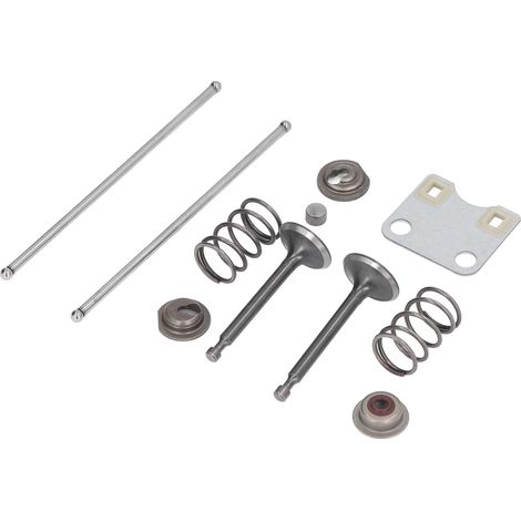 Couvercle de protection de plaque de soupape avec ressorts pour tondeuse 14791-ZE1-010 moteur GX160 GX200 5,5CV 6,5CV (1/5)