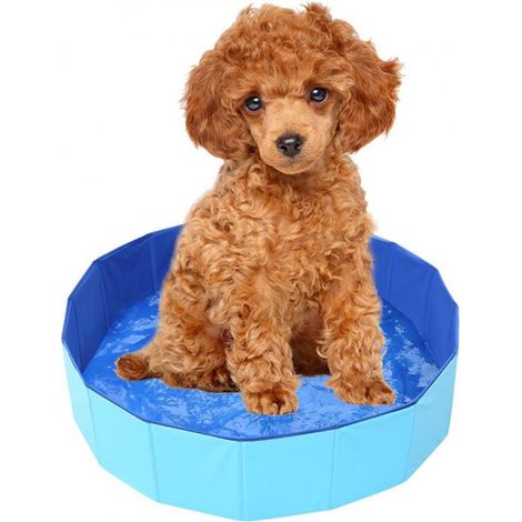 Piscine pour chien SNJY® - Baignoire pour chien - Piscine pour chien - Pliable - Ronde - 50 x 10 cm - Bleue (1/5)