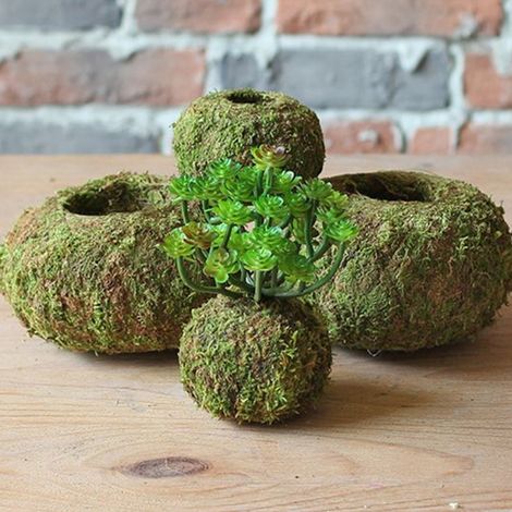 Japanisches Kokedama, 1 Stück, Naturmoos für den Garten, Moos-Pflanztopf (Außendurchmesser 7 cm, Innendurchmesser 3 cm), Material: Moos + dünner Draht (1/5)