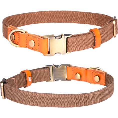 Colliers pour petits chiens, colliers résistants et réglables avec boucle en métal gravée (1/4)