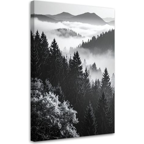Cuadro sobre Lienzo, Paisaje montañoso en blanco y negro, 20x30 (1/5)