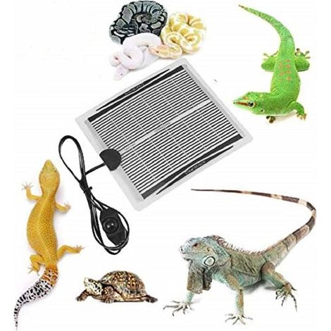 Heizmatte für Reptilien, 15-W-Heizkissen für Reptilien – Temperaturverstellbare Terrarien-Heizmatte für Reptilien, Schildkröten, Schlangen, Echsen, Geckos, Spinnen, Raupen – Aquarien-Heizmatte (1/5)
