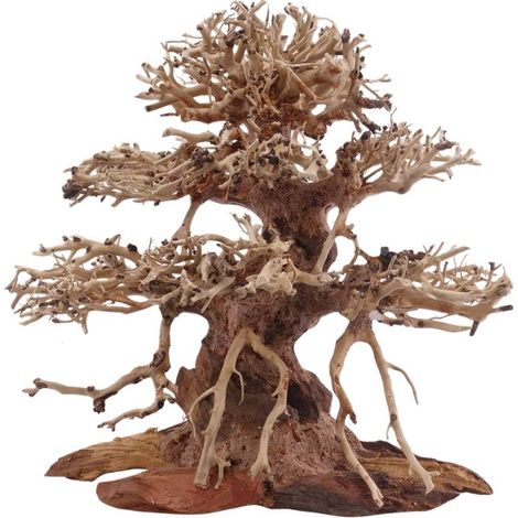 Premium Bonsai Baum M 20x12x20 cm Wurzel Holz Aquarium Deko Aquascaping