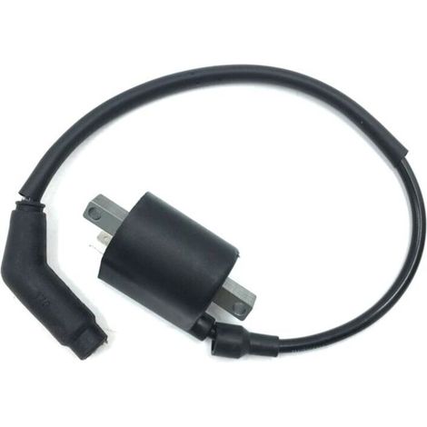 Bobine D Allumage - 22012 - Pour Linhai 260 300 400 500 520 550 EFI ATV Quad UTV - 1 Pièce (1/4)