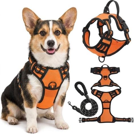 Harnais Chien Arnais Orange Anti Traction Réfléchissant Gilet Réglable pour Chien Taille S Attache Devant Crochet de Laisse (1.2M) (1/5)