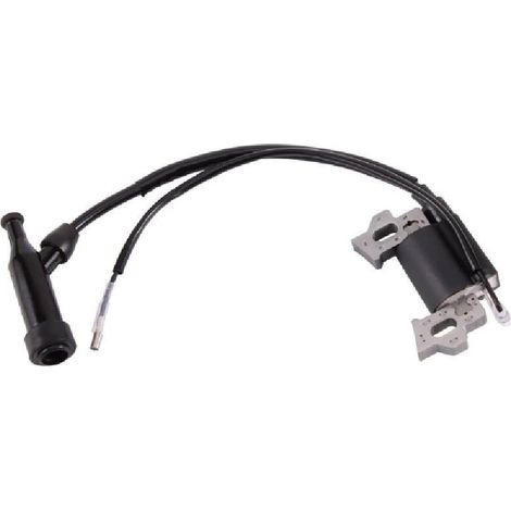 Remplacement de la bobine d'allumage pour tondeuse à moteur-générateur GX168 GX160 (1/5)