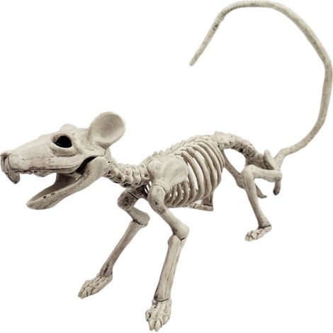 Squelettes d'animaux d'Halloween, décorations effrayantes pour fête (1/5)