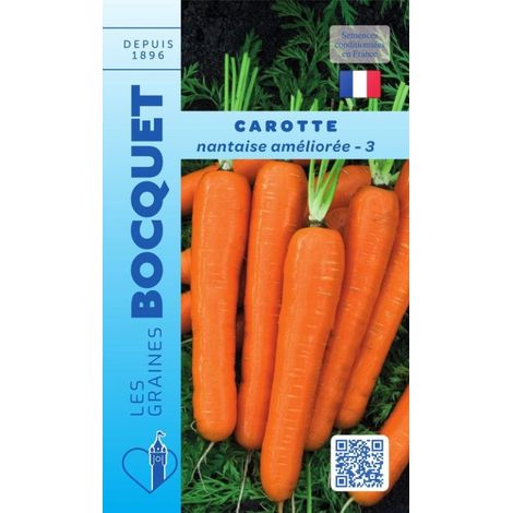 Carotte nantaise améliorée-3 - 7g