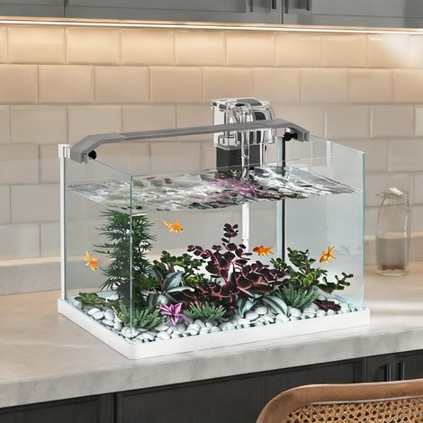 Aquarium en verre 20 L avec éclairage LED et filtre 38 x 26 x 27 (1/5)