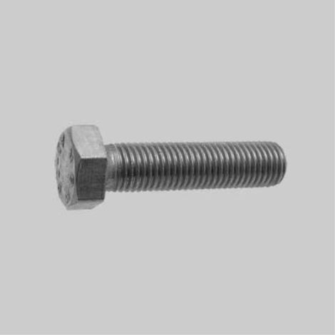 Bullone t.e. inox 10x60 (50 pezzi)