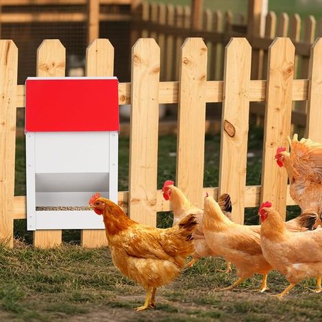 Chicken Feeder, 4.5 kg Outdoor Hanging Chicken Food Dispenser, Feeder for Poultry, Chick, Duck, Galvanised (1/4)