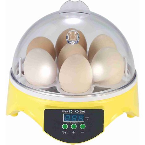 7 oeufs Mini incubateur d'oeufs numérique couveuse Machine à couver transparente contrôle automatique de la température pour poulet canard oiseau AC220V (1/5)