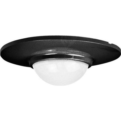 Niko ABDECKPLATTE RA, 16 M SW (25331)