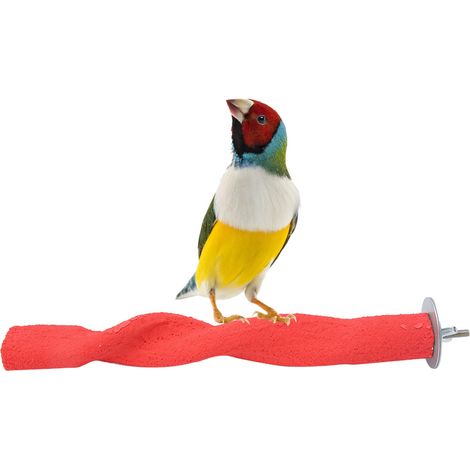 Jeffergarden Perchoir à oiseaux en bois, tige givrée, cadre sur pied, perroquet à mcher, mordre, meulage, clous, jouet, Cage, accessoires (1/5)