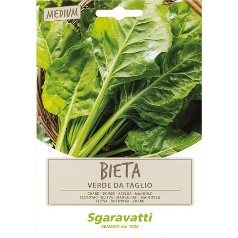 SEMI PER ORTAGGI E VEGETALI bieta liscia verde da taglio Q.TA 10 bieta liscia verde da taglio