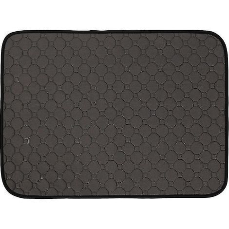 Les nouveaux tapis de propreté pour chien (1 pièce)