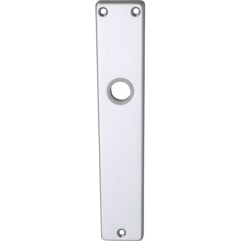 Langschild EUROPA, ungelocht, silber eloxiert (1/2)