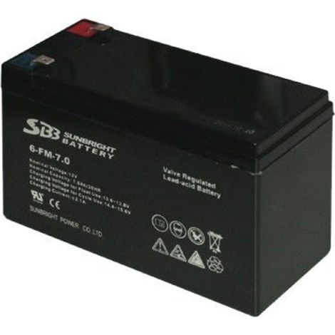 Ricambio Batterie Litio per pompe Iris Garden E-Lite