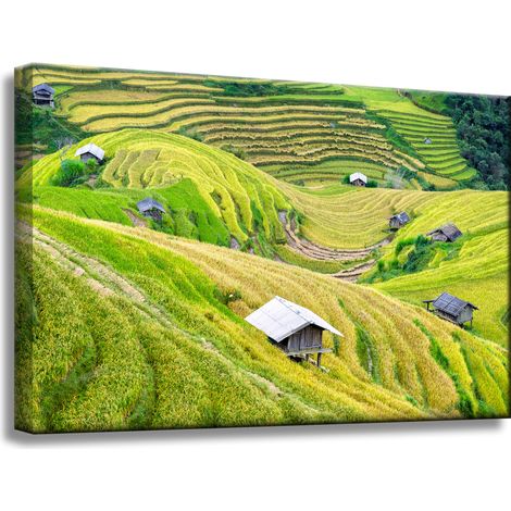 Stampa su tela Natura Terrazze agricole 60x40 cm