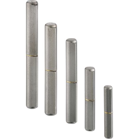 Charmag Bandrolle (Scharnier) Türband ø 20x150 mm mit Zwischenring Stahl blank