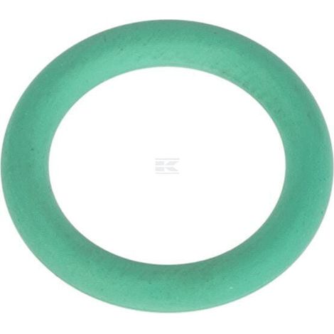 O-Ring RAICO 9961507N