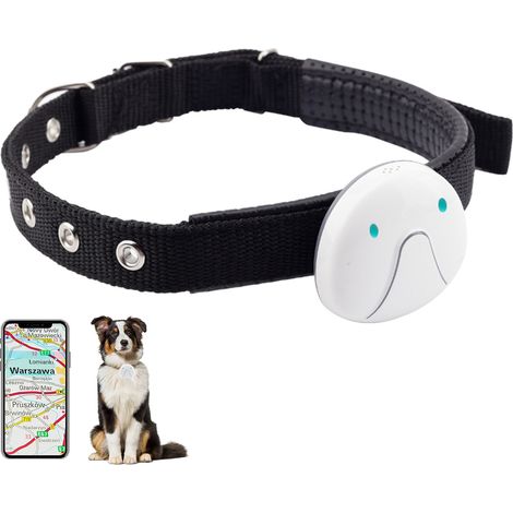 Collier lavande pour petit chiot, en nylon avec GPS intégré et boucle mousqueton résistante. (1/5)